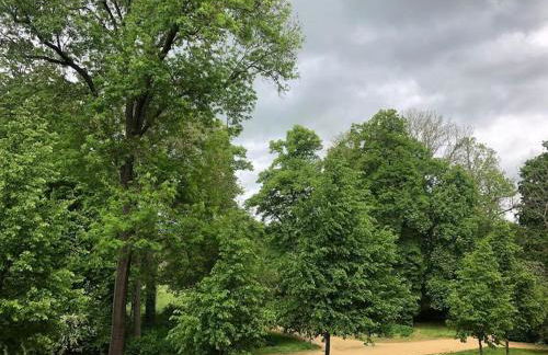 Gemütliche zentrale Wohnung in Zwickau - Foto 5