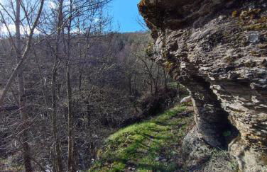 La Gándara Casa Rural - Foto 37