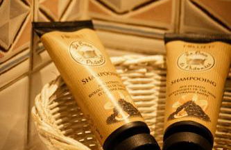 Albert 1er - Foto 24