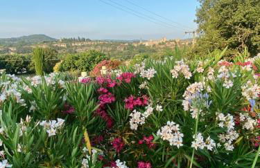 L Espantée - Foto 25