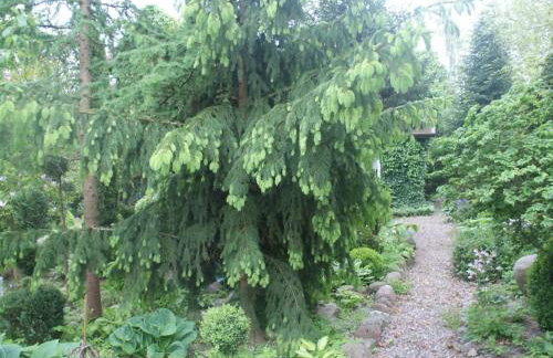 Holiday Home Ruhe am Meer - Ferienhäuser in den Gärten von Magra by Interhome - Foto 35