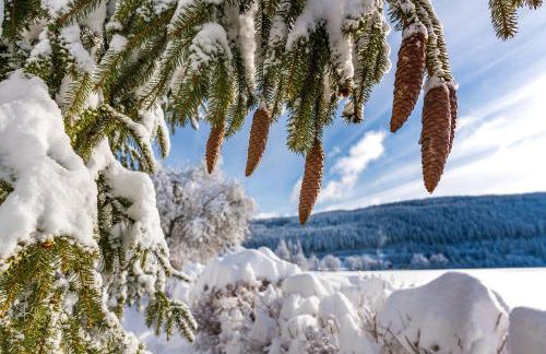 Altes Forsthaus - Fewo "Wiesental", privater "Spa" mit Sauna, Wanne und Relaxliegen, Todtnau- Feldberg - Foto 26