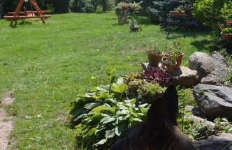 Agroturystyka 'Pod dębem' - Foto 8