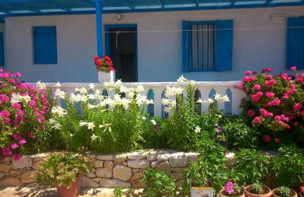 Iliovasilema VILLAGE - Photo 48