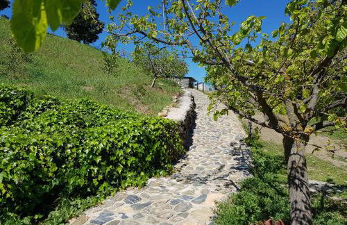 CASITA LAS MELOSILLAS II - Foto 7