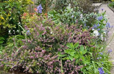 Entire Georgian luxury house - 3 Storey- High St Henley-in-Arden -Two bedrooms-Sleeps 4 people Close to Stratford upon Avon - Warwick - Solihull - NEC - Foto 39