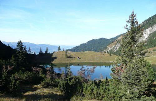 Edelweiß Hörnerbahnen von Mai bis Oktober frei - Photo 10