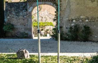 Stunning farmhouse with heated private pool in Provence - Photo 32