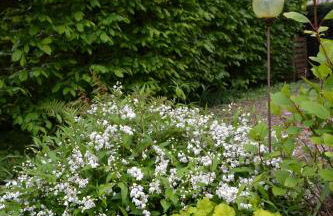 Gîte de charme proche du Zoo Beauval et Châteaux - Photo 55