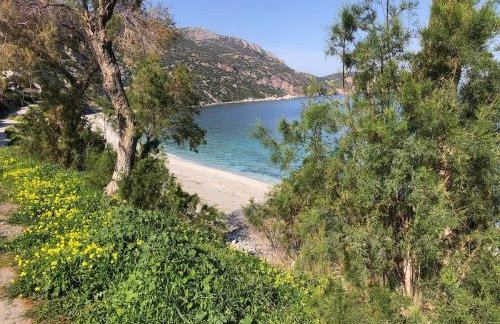 A peaceful haven in a quiet location with exceptional sea views - Photo 21