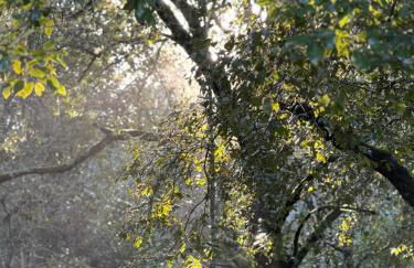 Villa Scandola - Foto 41