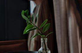 Cabana Sol do Norte - Foto 23