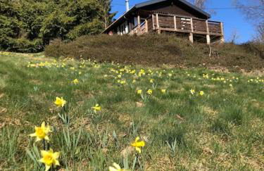 Le chalet des coeurs - Foto 14