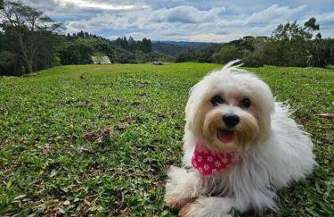 Chalé Romantico a 20km de Curitiba com banheira - Foto 5