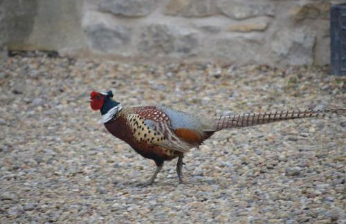 Luxury Old Stone Cottage, Beautifully Presented - Photo 30
