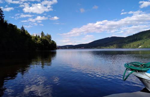 Titisee Haus Vogelnest - Photo 64