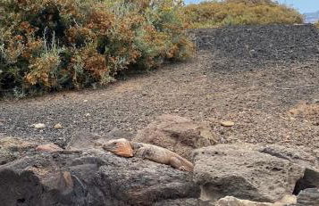 Numancia1-4B Ático5B - Foto 48