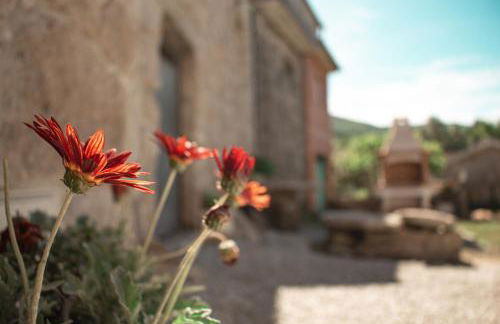 Casa da Eira de Santo Amaro - Foto 7