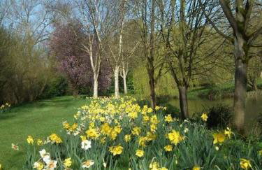 Garden Cottage 5 bedrooms set in 16 acres - Foto 10