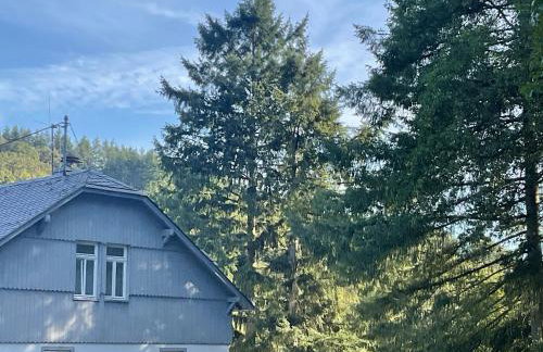 Etzauer Mühle im Taunus, Suite - Foto 1