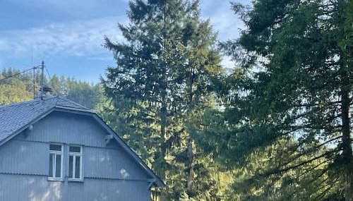 Etzauer Mühle im Taunus, Suite - Foto 1