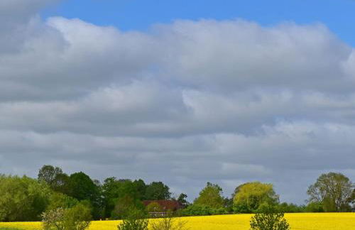 Ferienwohnung im Gutshaus Schulenbrook - Foto 26