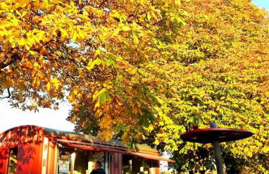 Ferienwohnung Hornig Zwei Terrassen, Parkplatz, separater Eingang - Foto 37