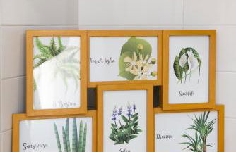 BOTANIC GUESTHOUSE ESTE - Foto 24