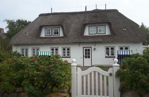 Seepferdchen - Foto 2