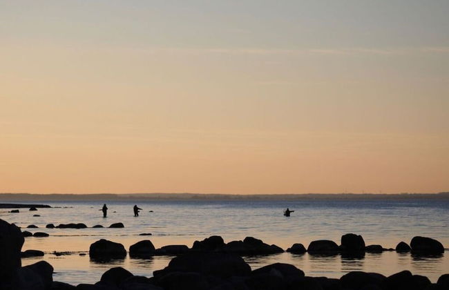 Ostseeliebe Flensfjord - Foto 29