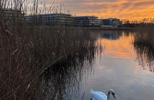 Miamare Dziwnow - Komfort Apartment, Panorama, Beach, Pool & Wellness - Foto 52