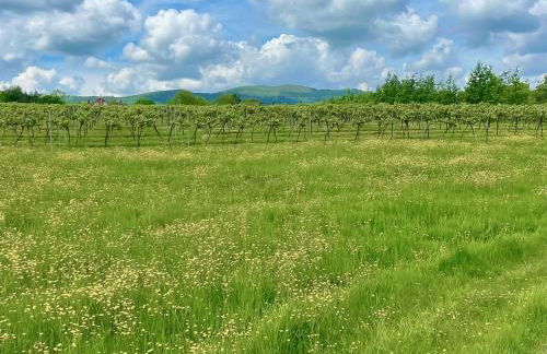 Lovells Barn - Foto 21