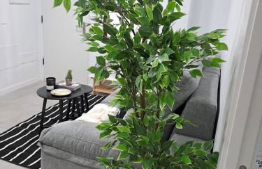 Apartamentos Jara Bajo B - Foto 8