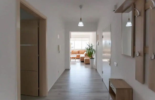 Mabel - The Rooftop Experience - Photo 13