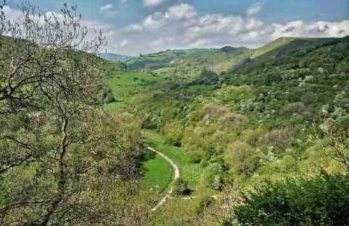 Wren Cottage, Manifold cycle trail,Peak District - Foto 14