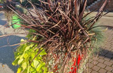 Nowodworski - Foto 53