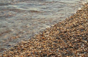 Apartmani Villa Marija - Foto 20