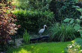 Haus Rosengarten mit Sauna - Foto 21