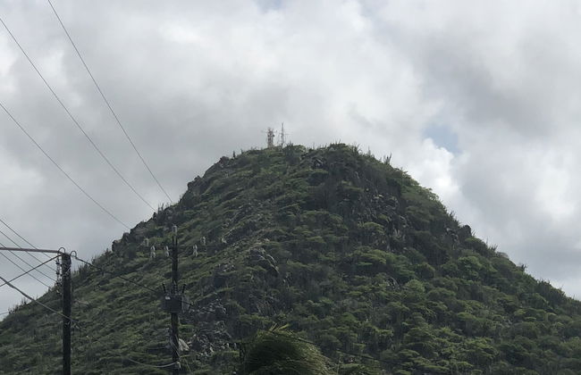 Caribbean Cozy Cove - Foto 63