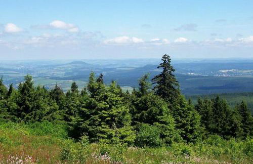 Kleine Fewo Ebert&Green - Foto 15