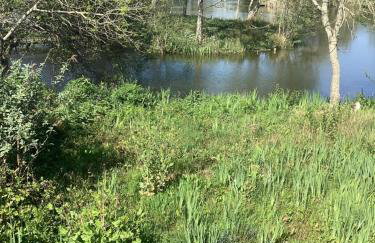 LakeView Lodge Trevella Park - Foto 11