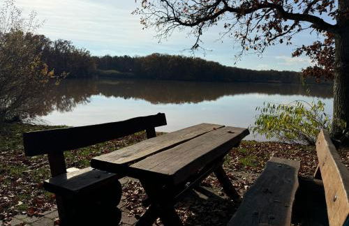 Ferienhaus Reuthsee- Nurdachhaus mit Panoramafenstern, großem Garten & hundefreundlich - Foto 7
