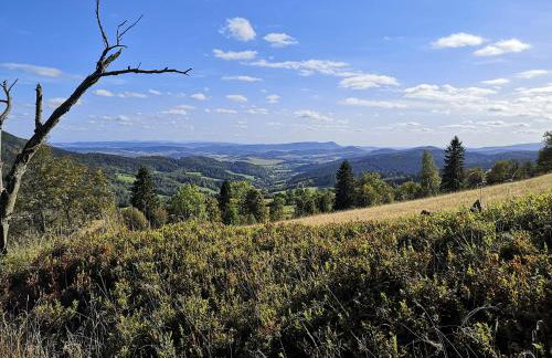 Orle Gniazdo - Foto 9