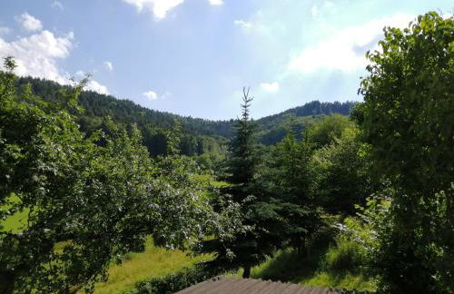 Ferienhaus "Schleif" - Foto 6