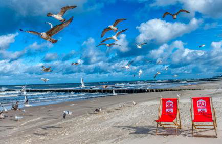 Rezydencja Niechorze 224 z Basenem, Sauną, Jacuzzi w cenie - 5D Apartments - Foto 18