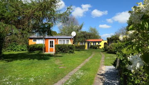 Bärenklau - Foto 2, Garden