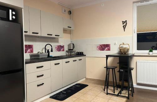 Apartament Wiktoria Zawiercie - Foto 8