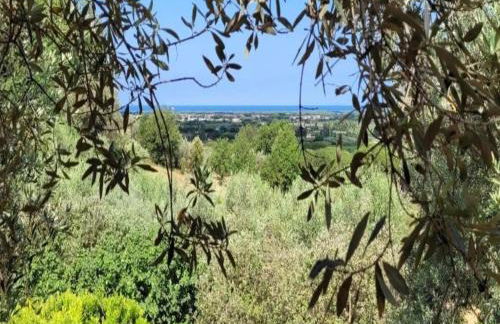 Huge Holiday Home in Marina di Castagneto Carducci near Sea - Foto 110