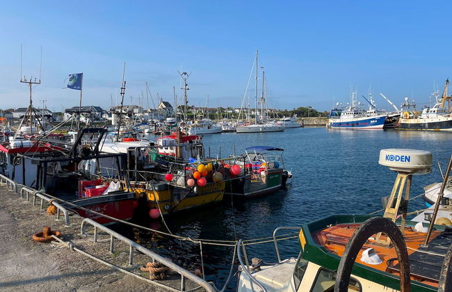 Sweetbriar Holiday Cottage - Foto 15