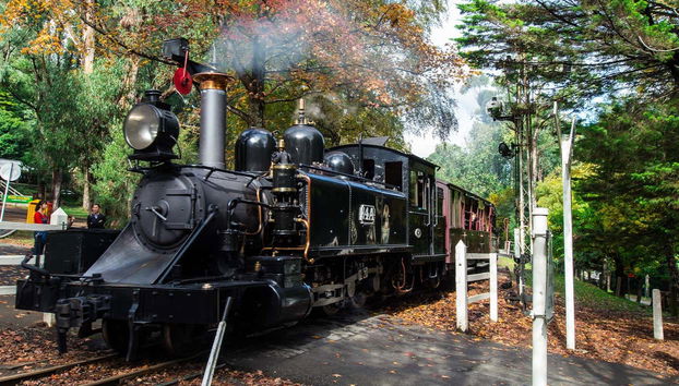 Treno a vapore Puffing Billy